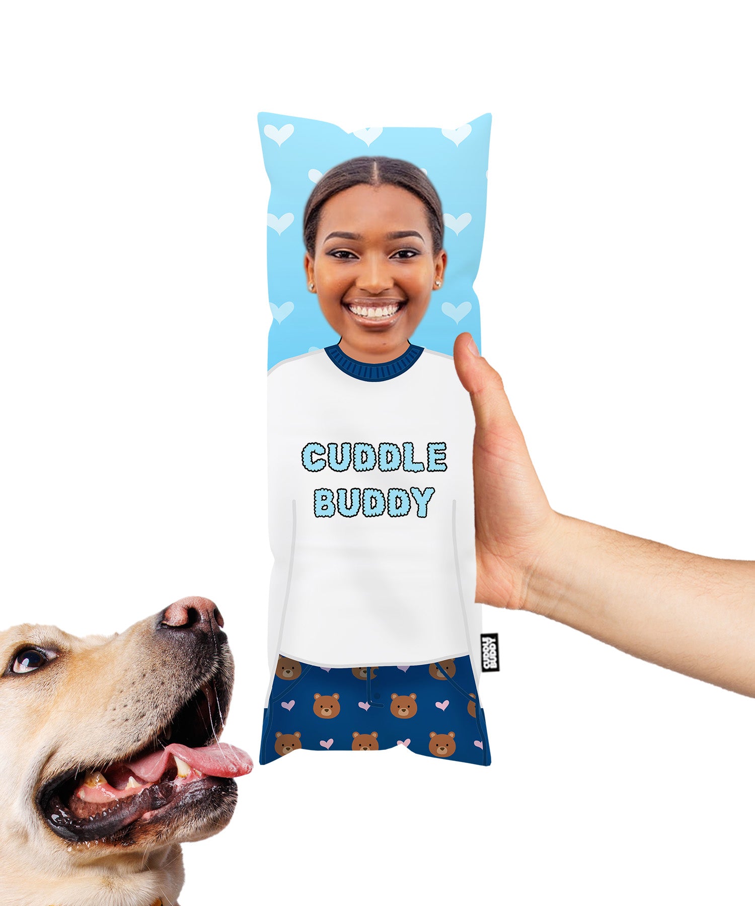 Dog cushions