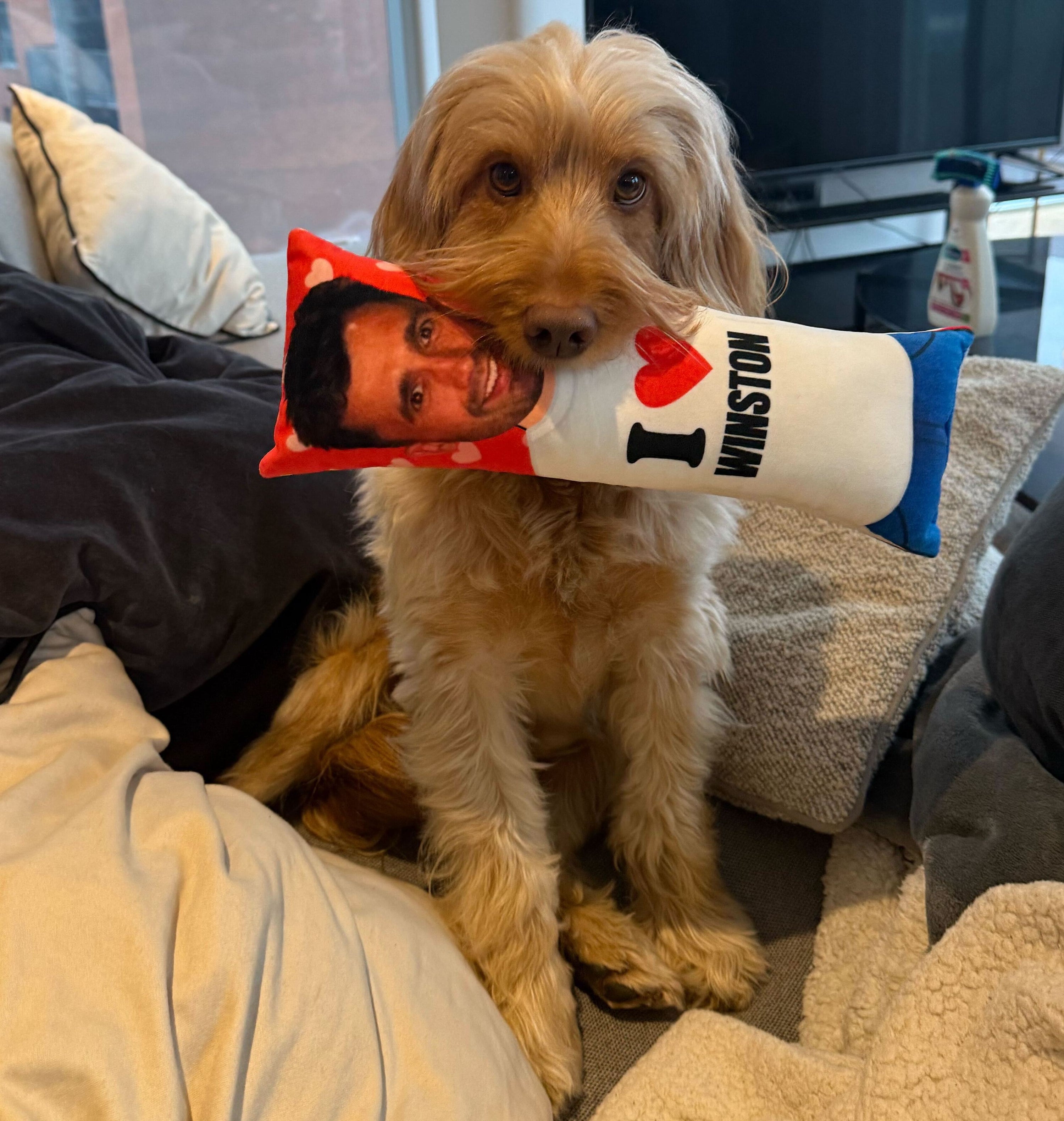 I Heart *Name* Dog Toy Pillow